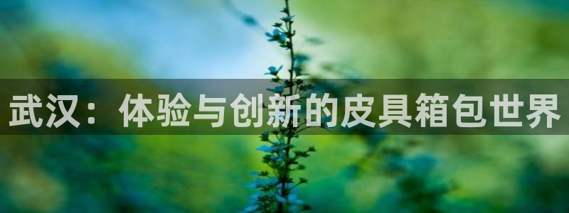 卧龙娱乐在线直播平台