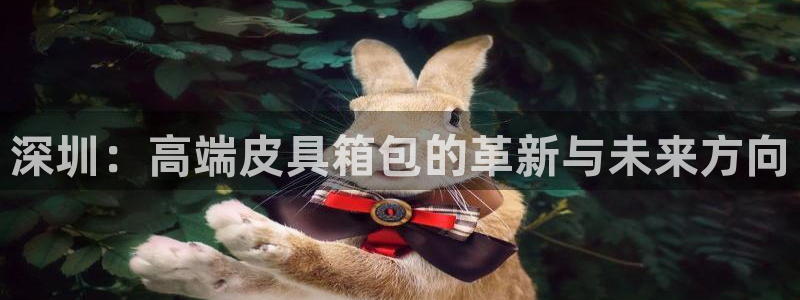 卧龙娱乐设备公司