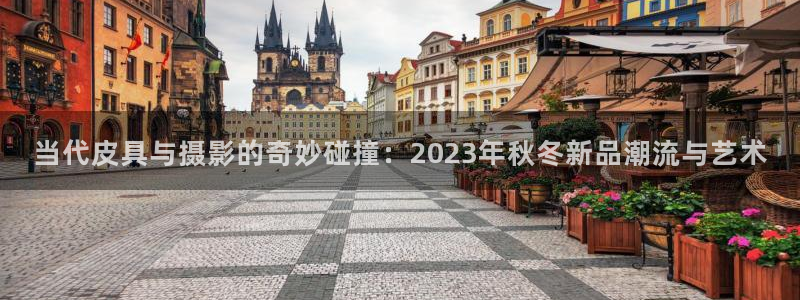 卧龙凤雏娱乐号