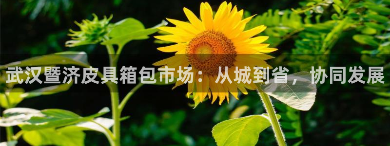 卧龙凤雏娱乐号