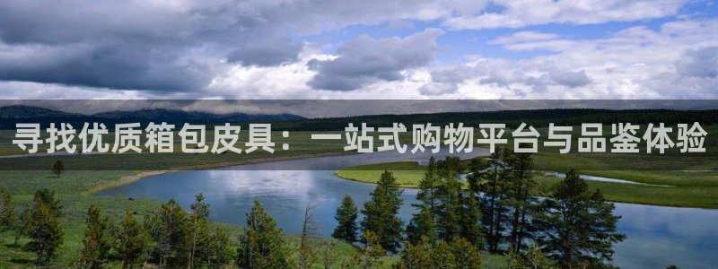 PT娱乐卧龙招商60447