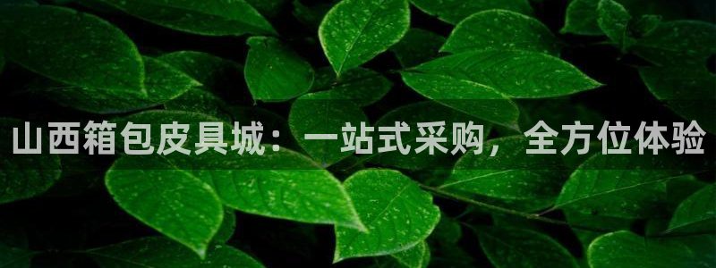 卧龙娱乐注册登录