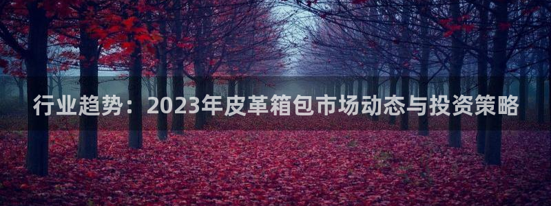 卧龙娱乐是哪个系列