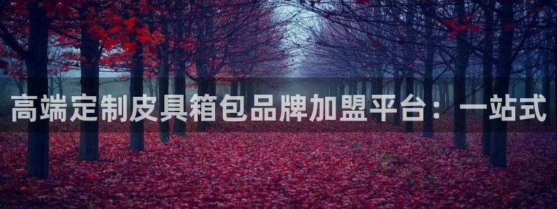 卧龙娱乐注册地址在哪里