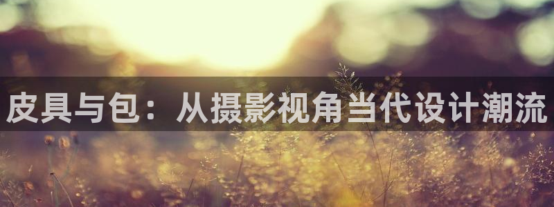 卧龙娱乐老板叫什么名子