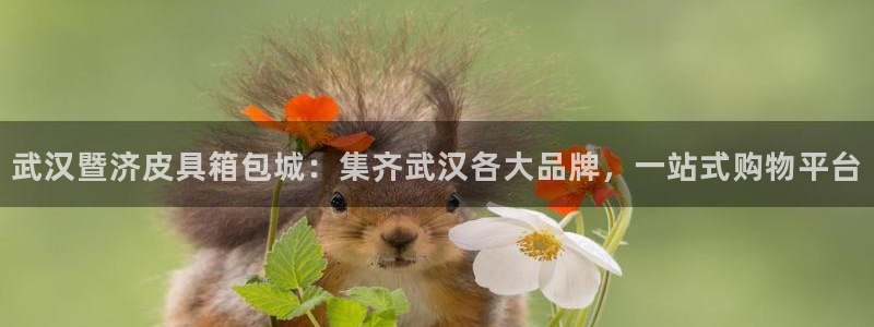 卧龙儿童娱乐设施