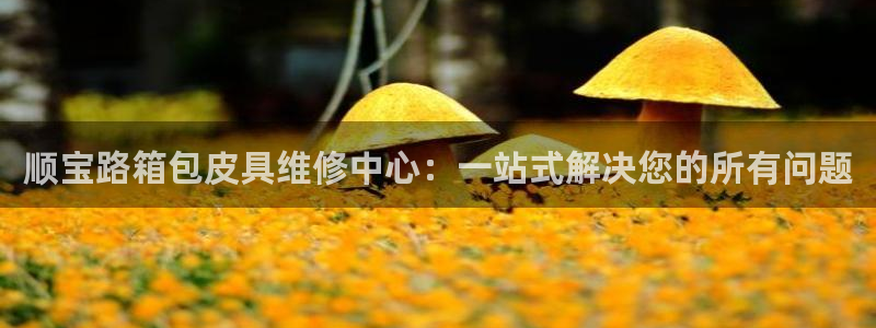 卧龙娱乐在线直播