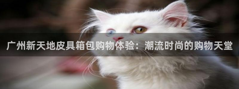 卧龙娱乐注册登录网址