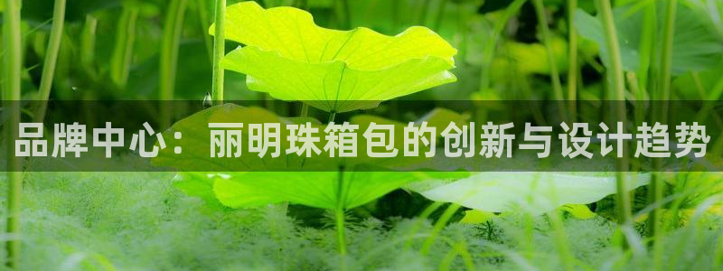 卧龙区娱乐会所