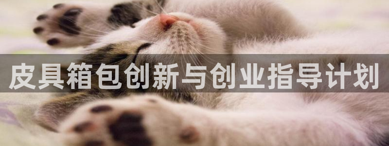 卧龙桥休闲娱乐园