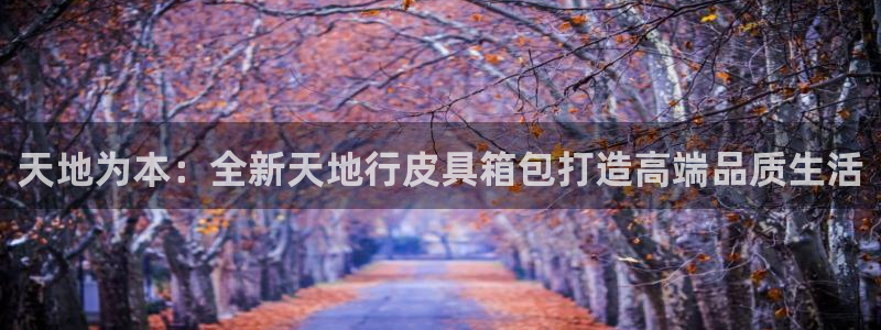 卧龙娱乐招商代理是谁