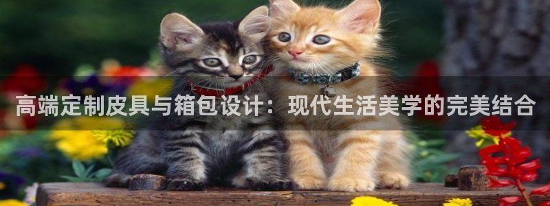 卧龙娱乐注册网址多少