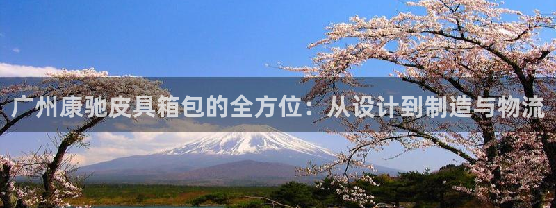 卧龙娱乐老板是谁