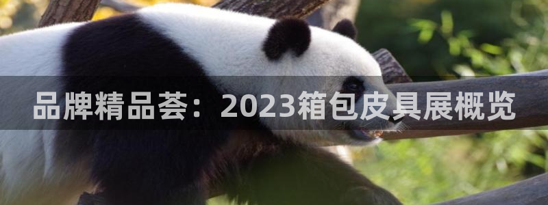 卧龙娱乐招商主管招聘