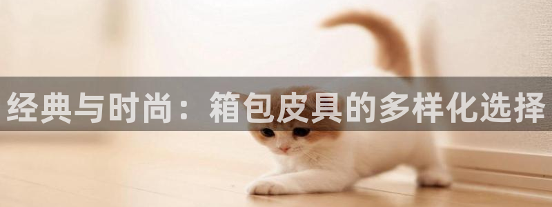 卧龙区夜晚娱乐