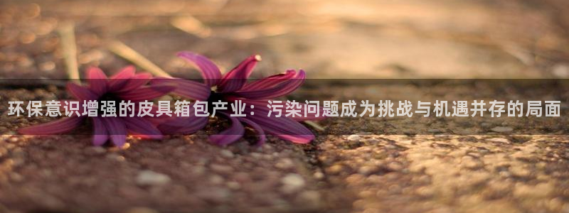 卧龙娱乐彩票官网直播