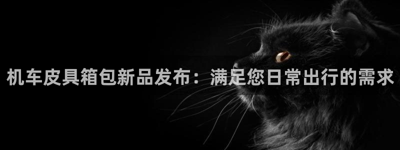 卧龙2神机娱乐攻略