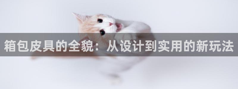 qq娱乐 卧龙主管60447