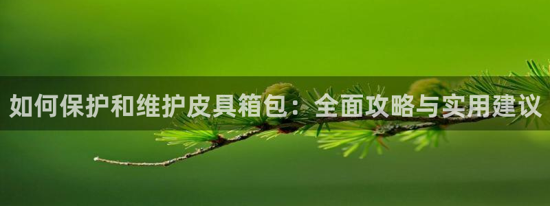 卧龙娱乐属于什么公司