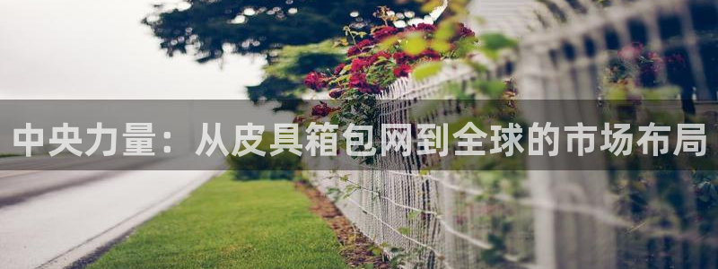 fans娱乐卧龙凤雏