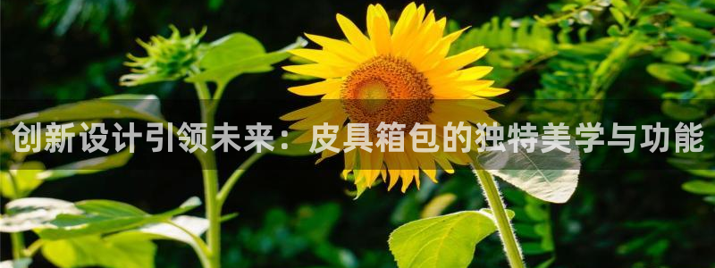 卧龙凤雏娱乐号