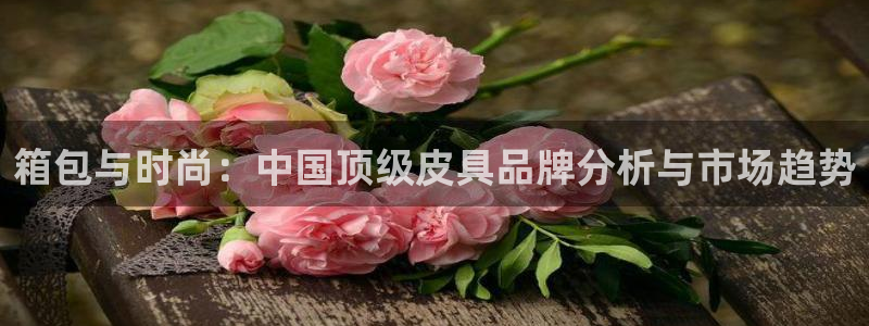 卧龙区微微娱乐商城