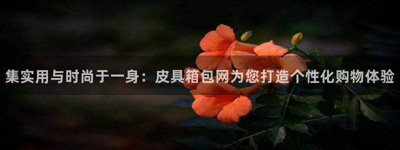卧龙娱乐注册登陆