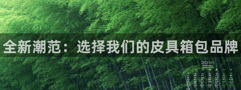 卧龙娱乐代理