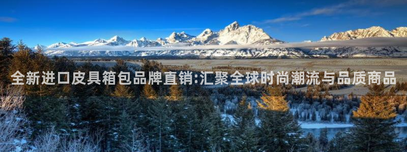 hr娱乐 卧龙主管60447