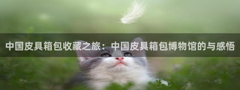 卧龙棋牌娱乐
