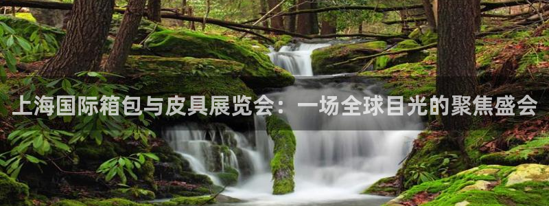 卧龙凤雏娱乐 小辣椒