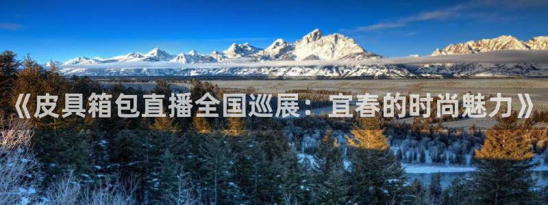 卧龙娱乐挂机平台