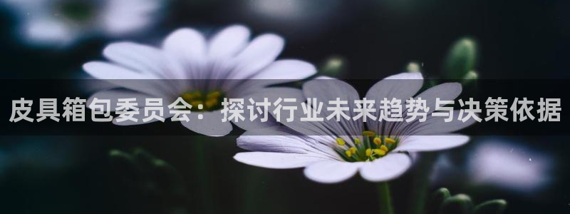 卧龙娱乐总管