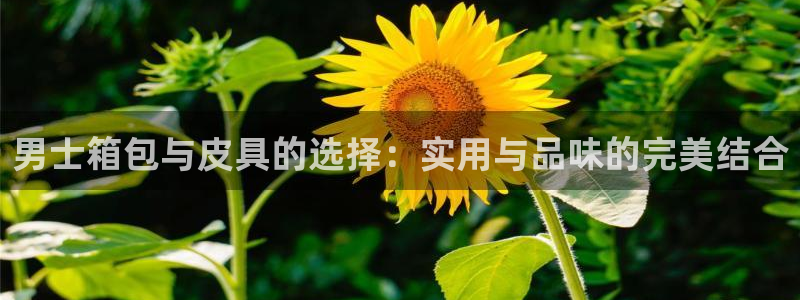卧龙湾娱乐设施