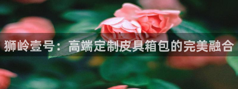 卧龙娱乐怎么注册会员