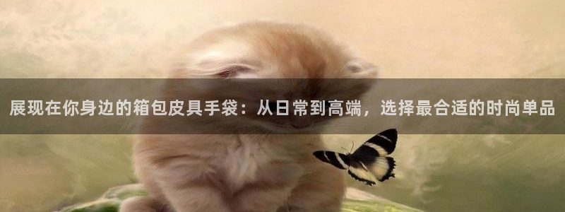 卧龙娱乐是哪个系列