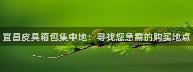 卧龙台球娱乐