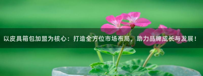 卧龙娱乐右7O667