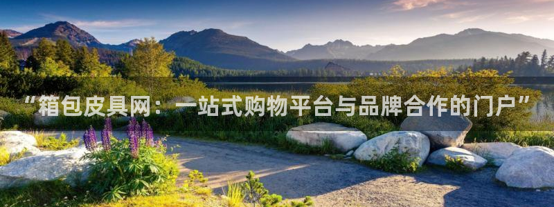 卧龙娱乐主管是谁呀