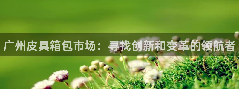 卧龙娱乐在线直播网页