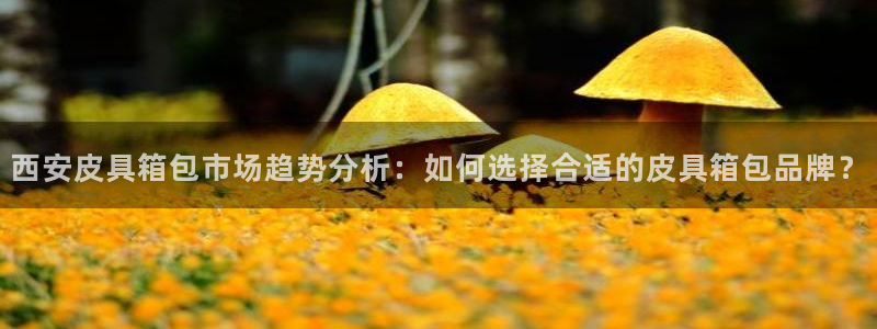 卧龙娱乐app下载