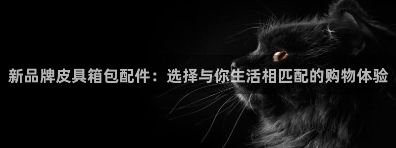 卧龙娱乐网址多少