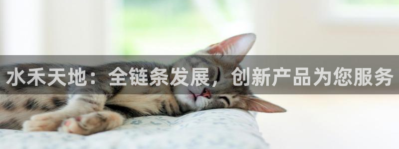 卧龙娱乐山西
