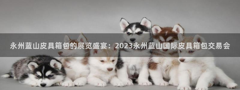 卧龙娱乐过山车