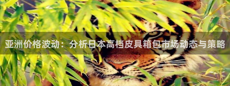 卧龙娱乐总管是谁呀