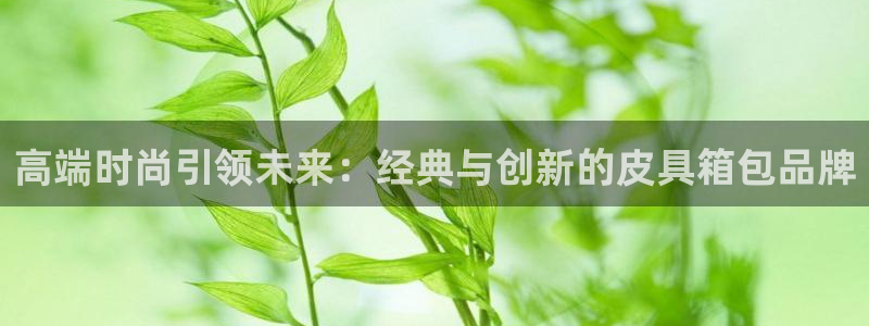 卧龙湾儿童娱乐项目价格