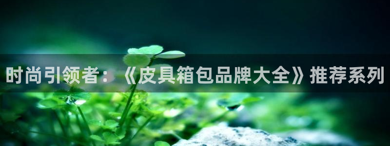 卧龙区娱乐会所