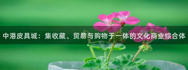 卧龙凤锄娱乐演员