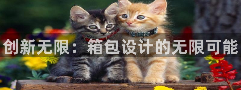 卧龙娱乐月