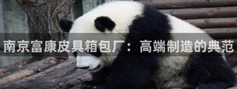 卧龙凤雏娱乐解说